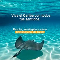 Vive el Caribe con todos tus sentidos