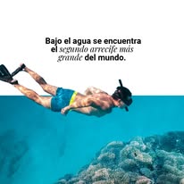 Snorkel en Cozumel